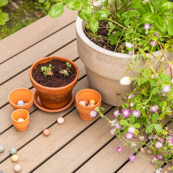 Blossombs - Kit de semis - Plein d'amour - 1 bombe à graines - BIO - image